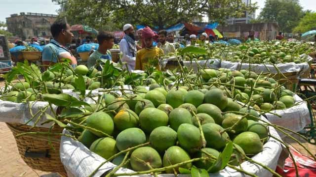 দেশের বৃহত্তম কানসাট আম বাজার