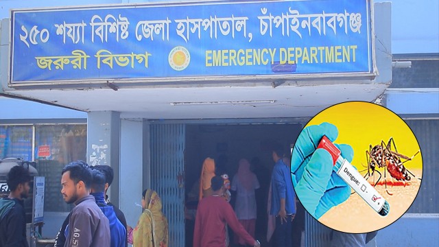 চাঁপাইনবাবগঞ্জে ৮ মাসে ডেঙ্গু আক্রান্ত ৩ হাজার জন