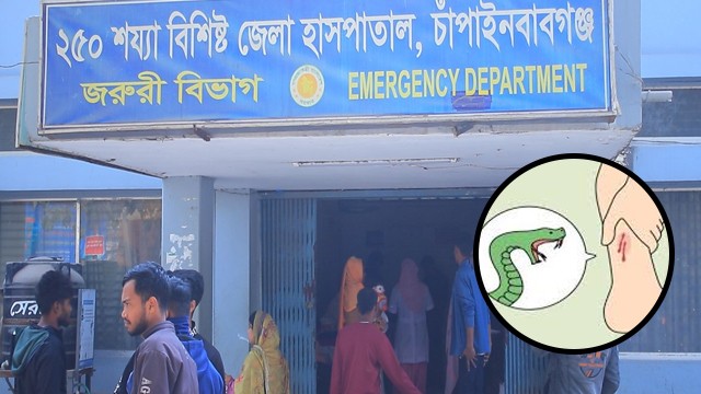 চাঁপাইনবাবগঞ্জে জুলাই মাস জুড়ে সাপের কামড়ে ৭ জনের মৃত্যু