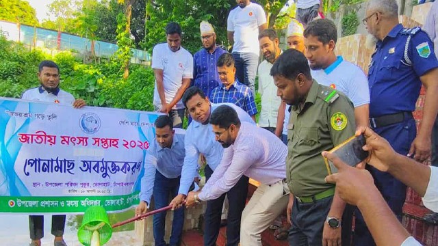 ভোলাহাটে জাতীয় মৎস্য সপ্তাহ পালিত